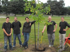 Team Planting a Tree