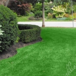 Edged Property along Bushes