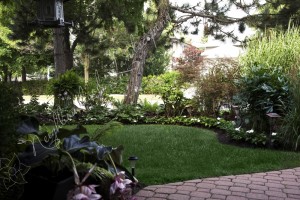 affordable lawn service Toronto