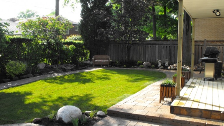 How a Manicured Lawn Is the First Line of Defense Against Invasive Pests