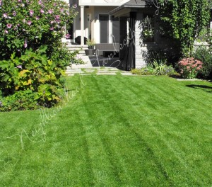 Neighbourhood Landscaping Inc 30 Titan Road Unit 7 Etobicoke ON M8Z 5Y2 Canada